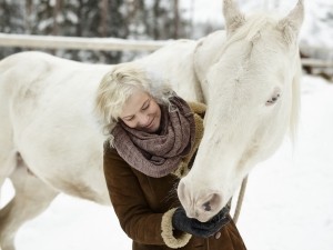 Horse feeding Pets © iStock jarih