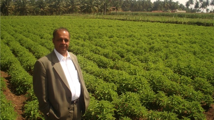 Dr Muhammed Majeed, Sabinsa Corporation and Sami Labs founder, in a field of Coleus forskohlii. Image: Sabinsa