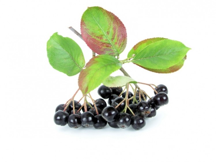 The majority of the science supporting the health benefits of aronia are for heart health