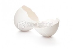 Eggshells that would have gone into landfills form the feedstock for Stratum's eggshell membrane ingredient.