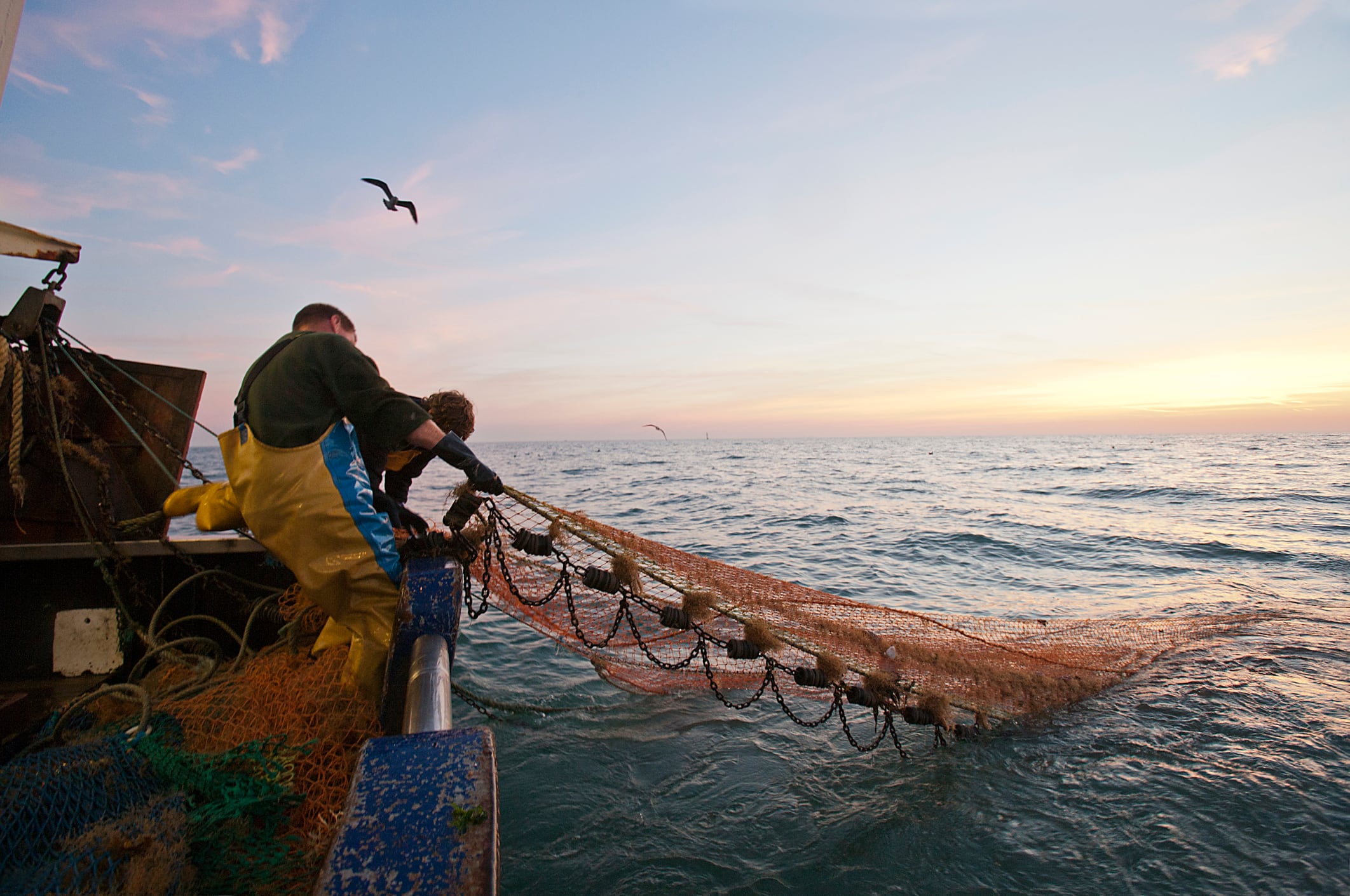 Omega-3 sustainability: Pressing environmental, political and social issues driving change in the industry