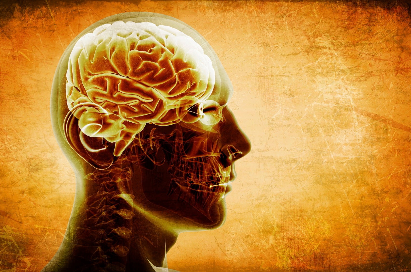 brain-and-eye.jpg