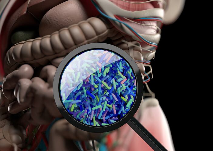 Twin-study-suggests-microbial-influence-on-food-allergies.jpg