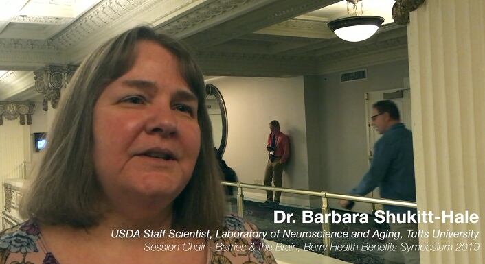 Berries and brain health: What do we know so far?