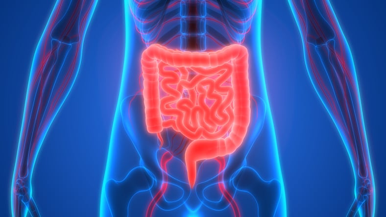 Study discovers microbiome modulation possibilities in obese population