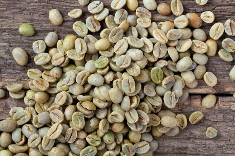 Green coffee improved metabolic syndrome symptoms in new rat study