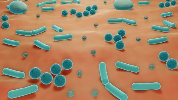 AB-Biotics and Kaneka Probiotics L. gasseri shows potential in vaginal dysbiosis