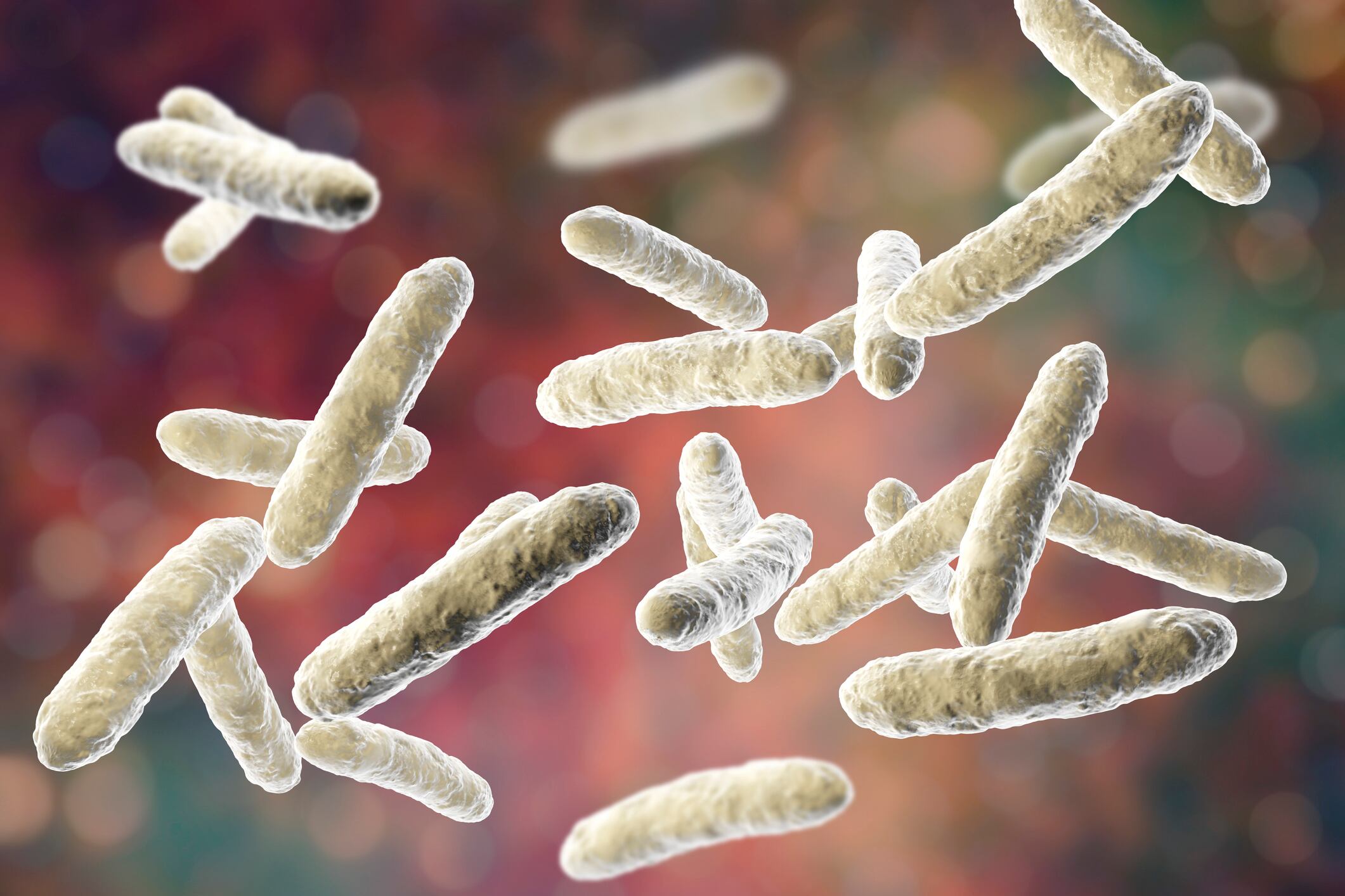 Synbiotics may offer blood sugar management potential, protect gut integrity: Study