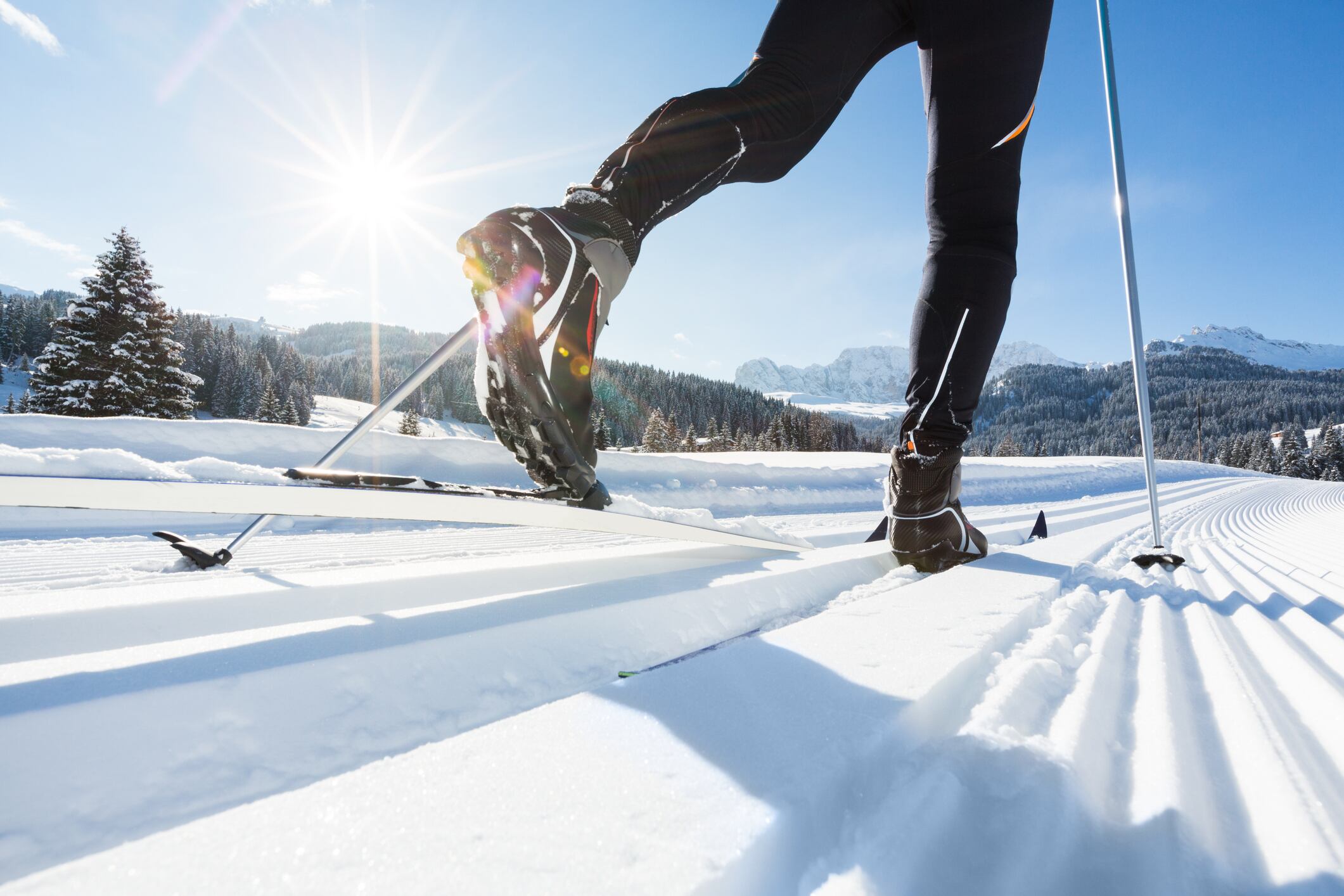 Study in cross-country skiers suggests probiotic alongside training could improve performance 