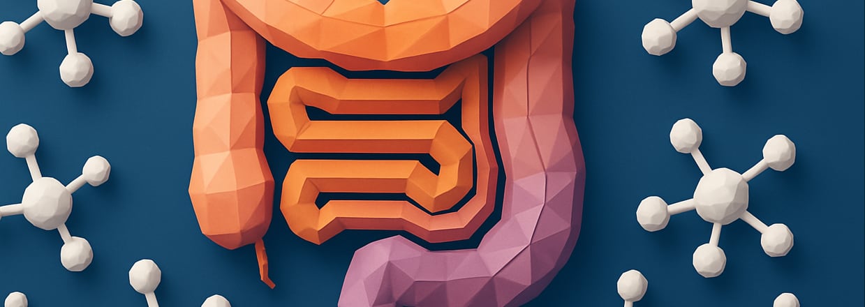 How 3’-Sialyllactose could hold the key to gut barrier integrity