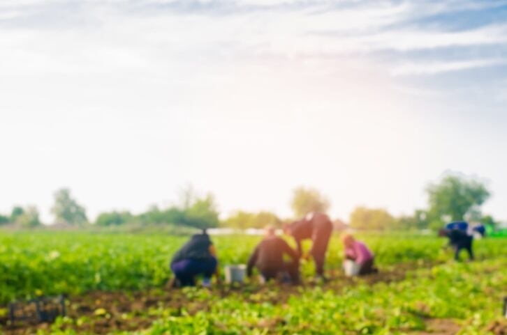 OTA-asks-USDA-for-funding-flexibility-remote-inspections-increased-enforcement-during-pandemic.jpg