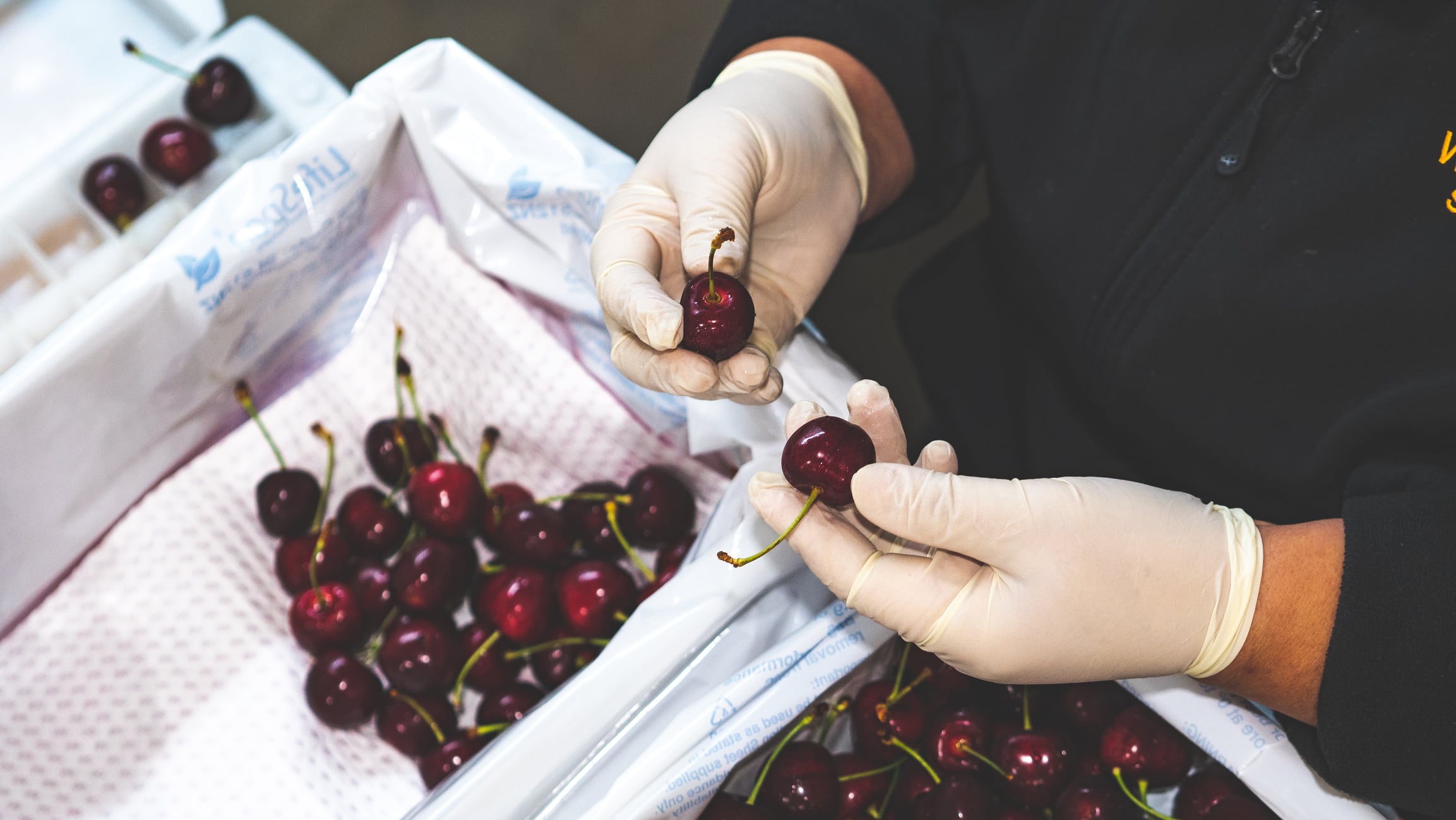Turning trash into treasure: Researchers uncover benefits of upcycling cherry waste