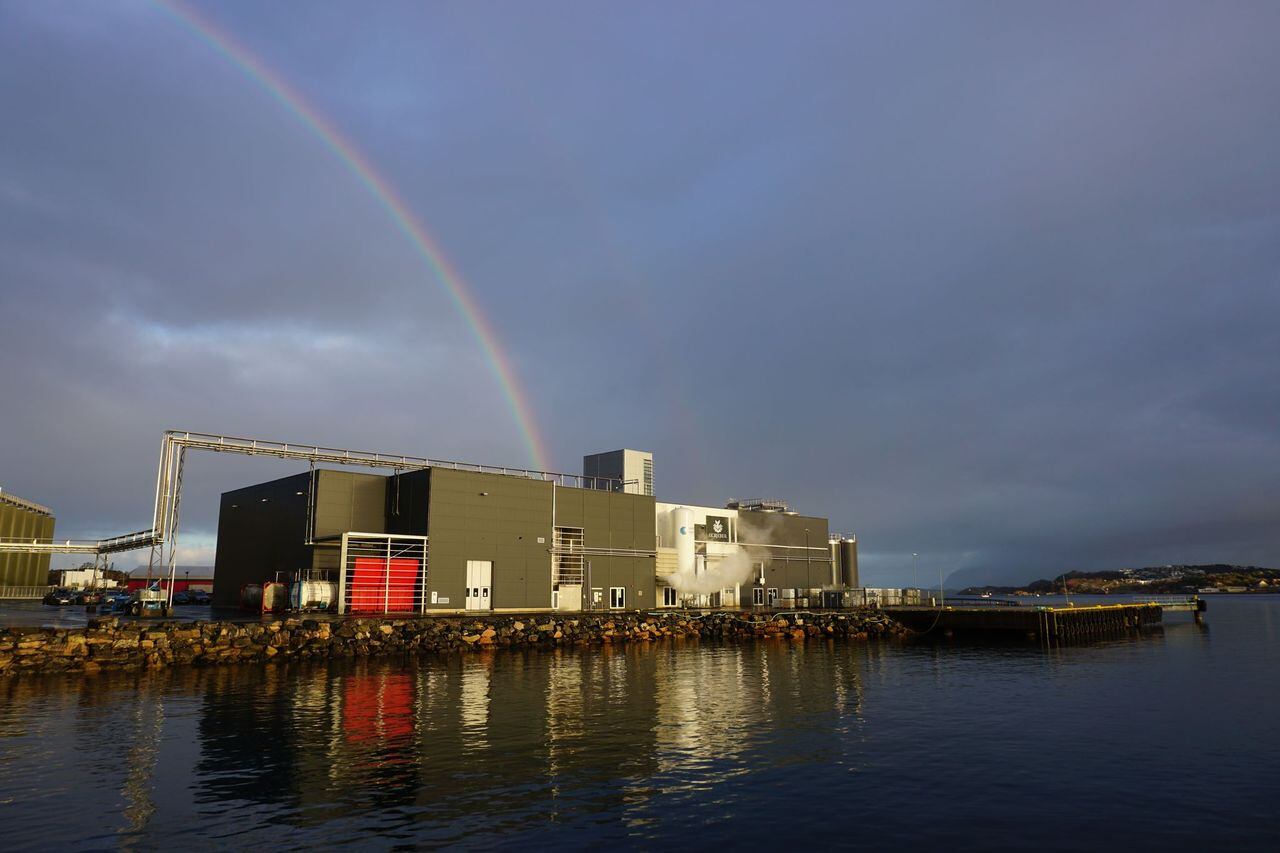Full steam ahead for GC Rieber VivoMega sustainable operations