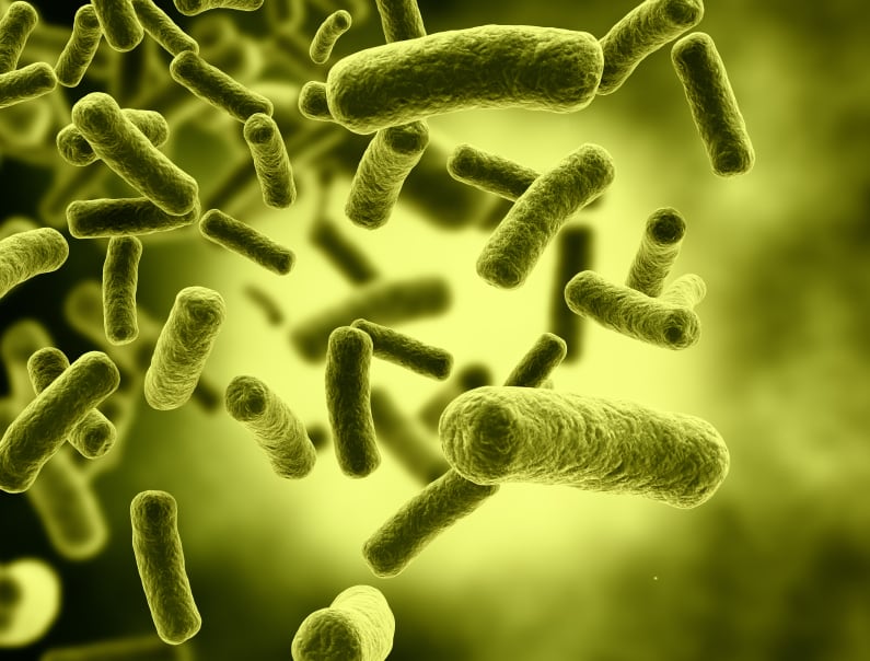 microbiota.jpg