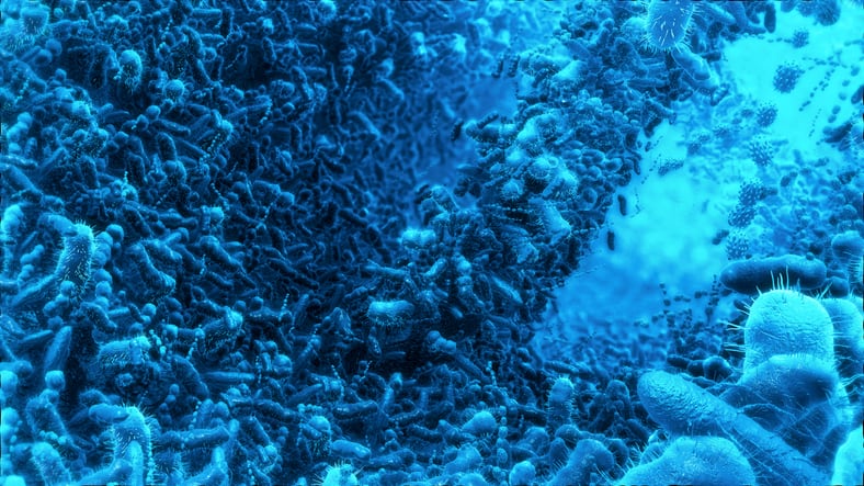 Probiotics protect against low mood in marathon runners: Study