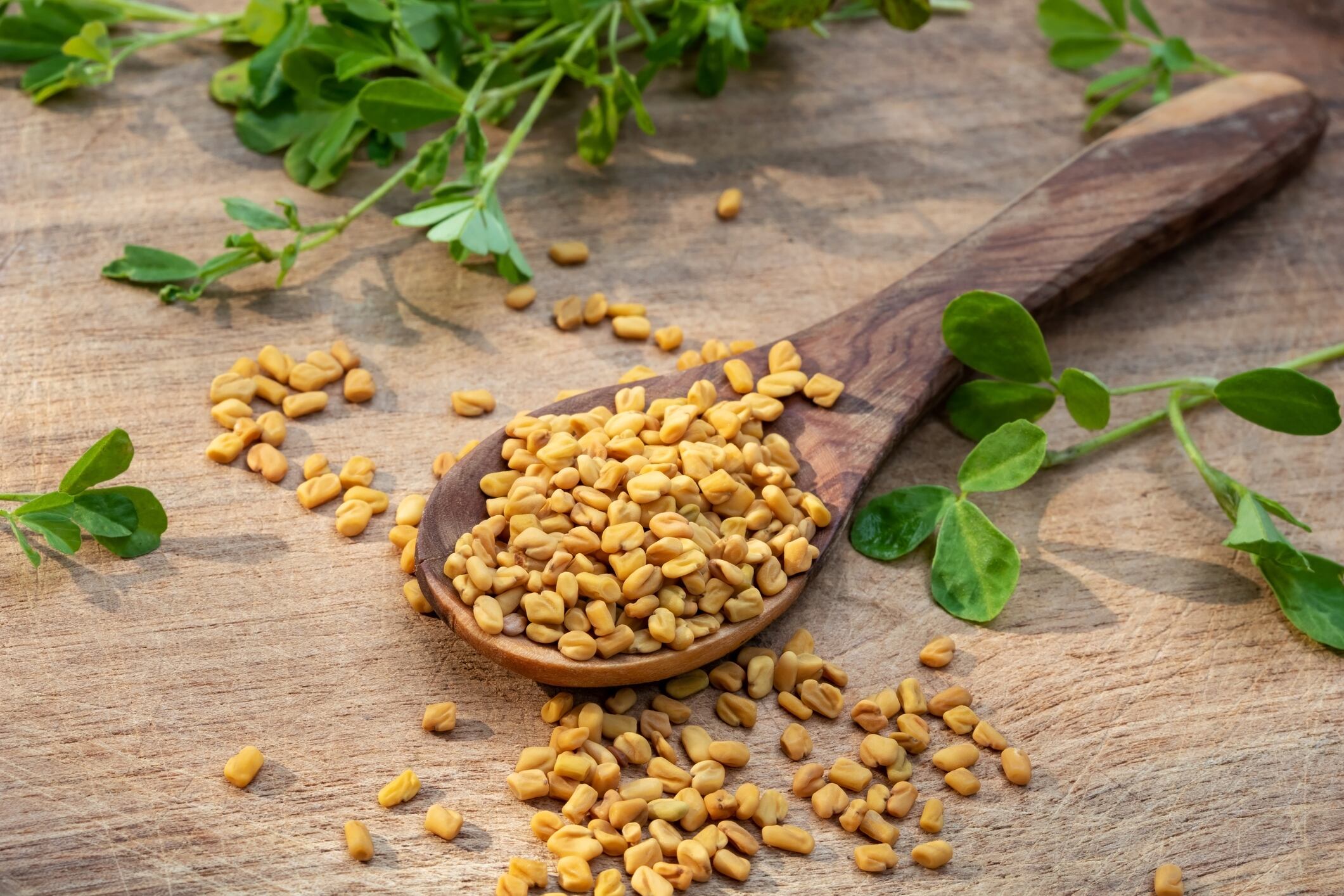 Study: Gencor fenugreek supplement Libifem improves strength and body composition in female athletes
