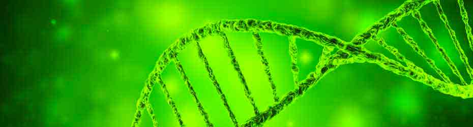 EPO-and-Faravelli-Bringing-DNA-certified-herbal-extracts-to-North-America.jpg