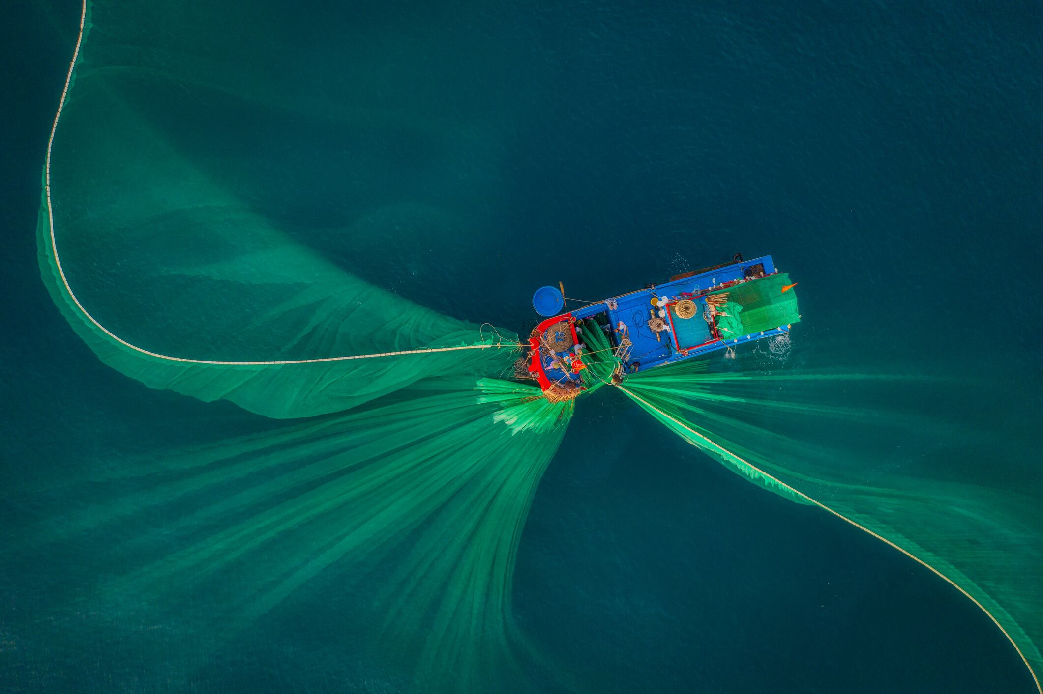 Peruvian anchovy fishing quota signals rebound for omega-3 supply