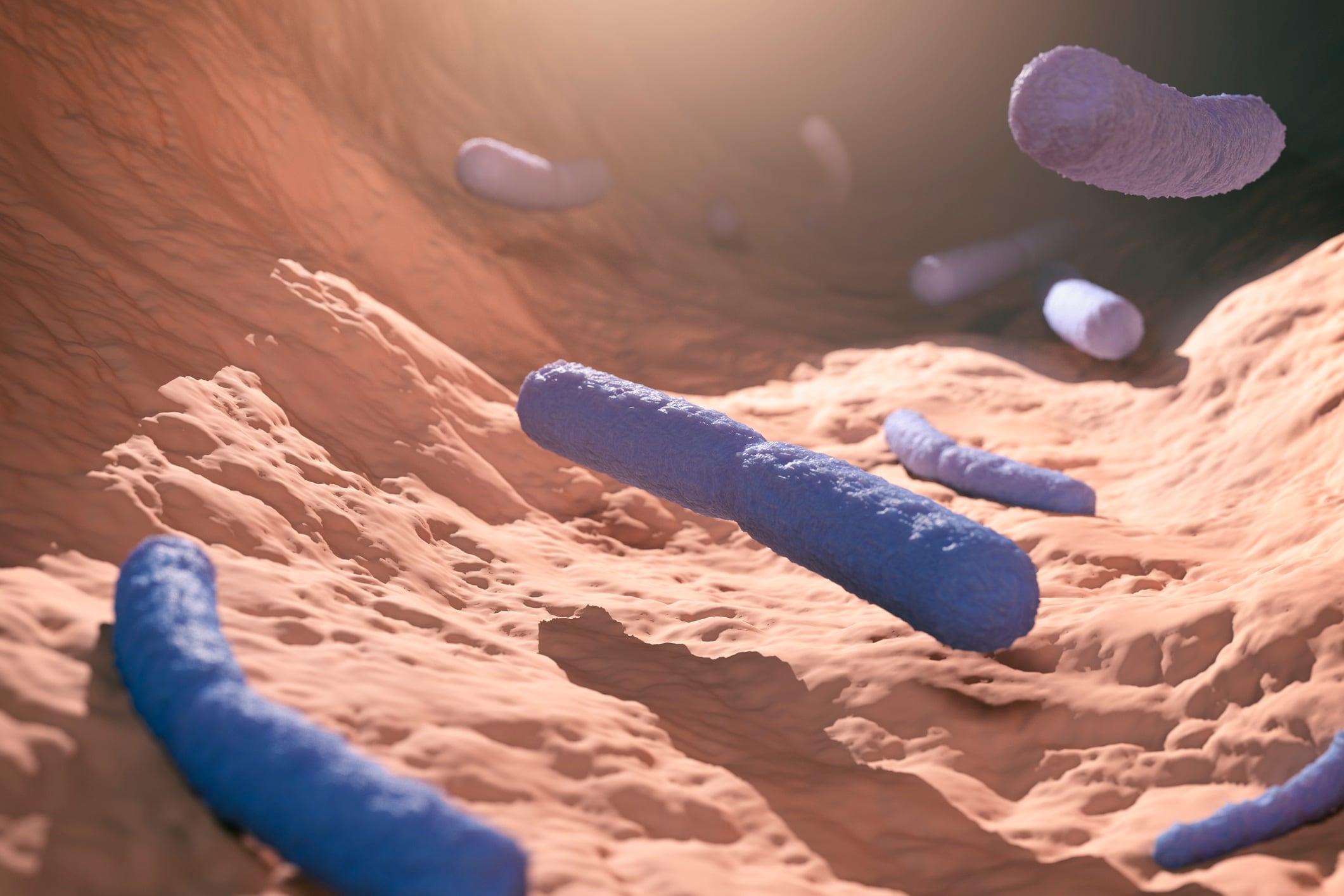 Probiotic blend may repair ‘leaky gut’