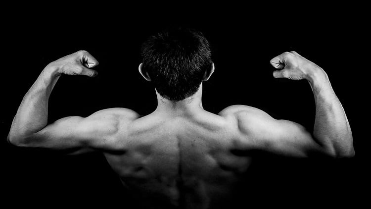 Probiotics for building muscle mass: Synbio Tech targets the US market with ‘world’s first’ sports product 