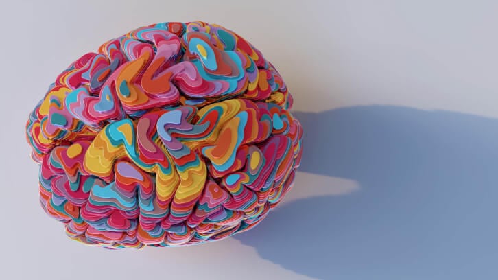Protecting the 'middle-aging' brain: Combination herbal extract might help