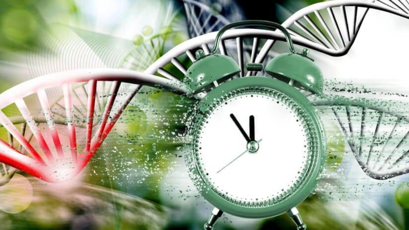 Image of a clock and DNA