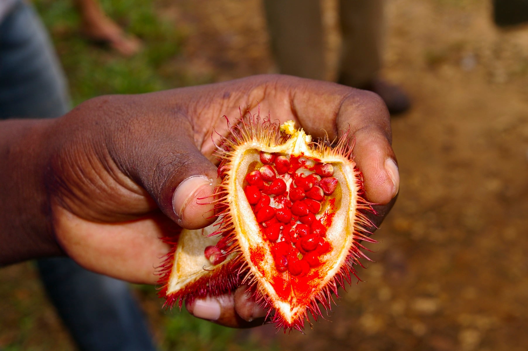 Annatto Tocotrienol may improve markers of liver health in people with NAFLD