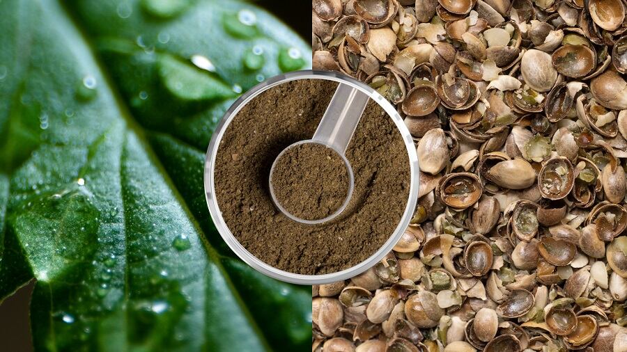 Brightseed’s Bio Gut Fiber sourced from upcycled hemp hulls, supports gut health