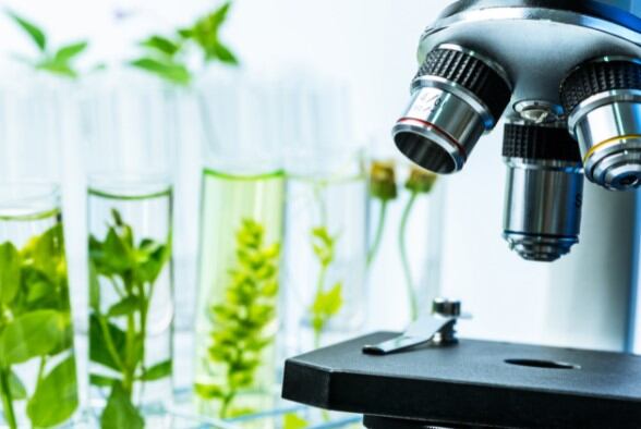 New Trinity College Dublin centre seeks to unlock new bioactives for next-gen nutraceuticals 
