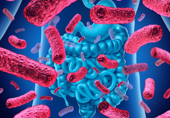 Review-finds-strong-support-for-effectiveness-of-postbiotics.jpg