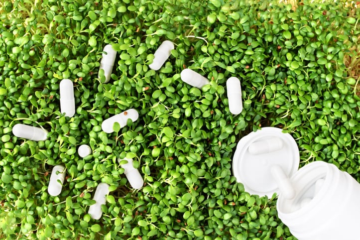 Ingredients by Nature partners with Virentia to launch alfalfa ingredient 
