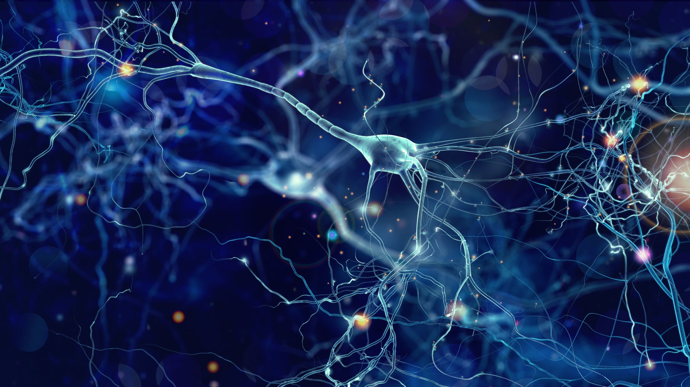 Lallemand’s HA-114 probiotic strain shows neuroprotective promise