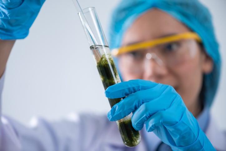 Lubrizol introduces novel spirulina microencapsulated astaxanthin for healthy aging