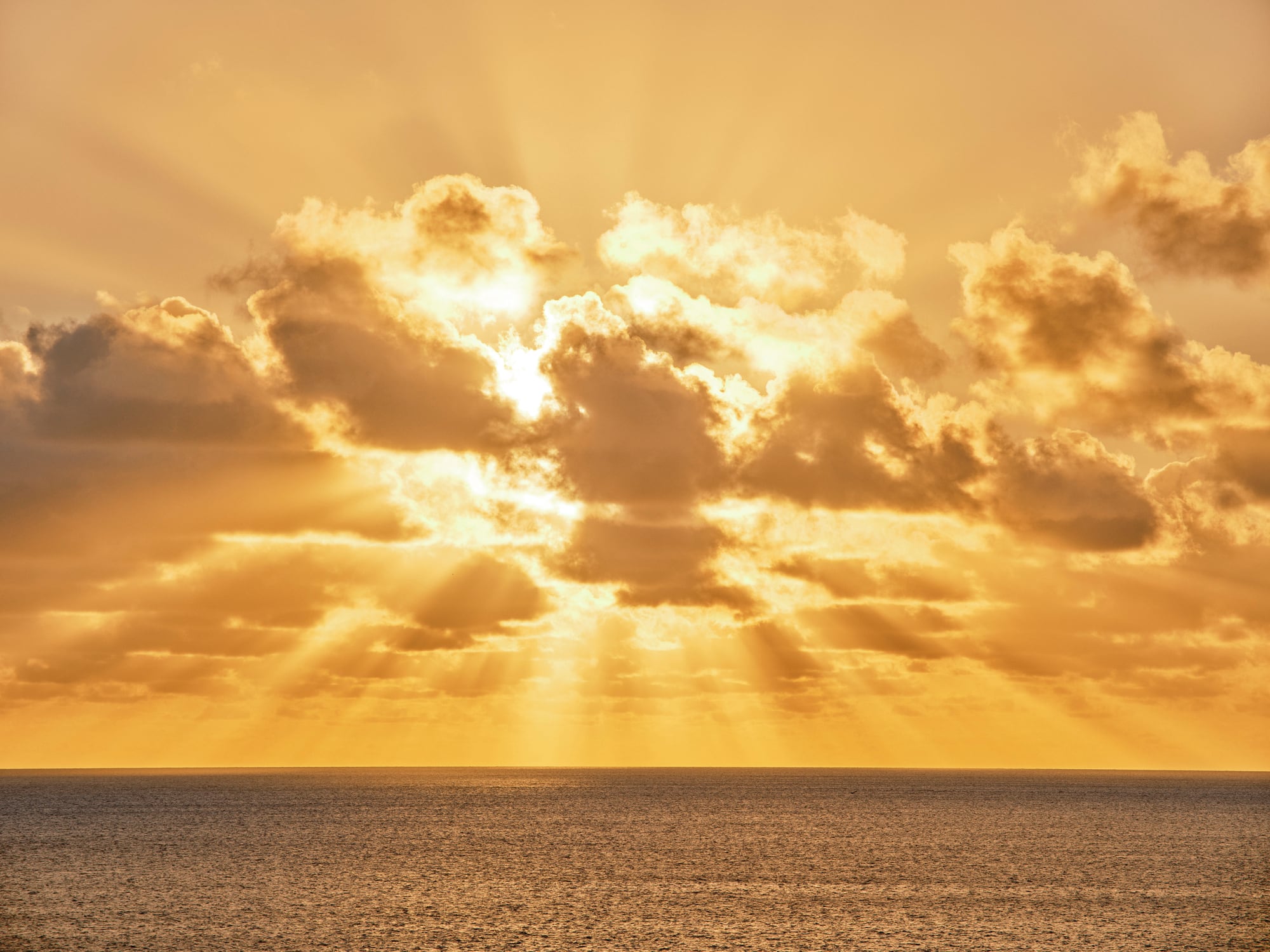 A century of the sunshine vitamin part I: A look back 