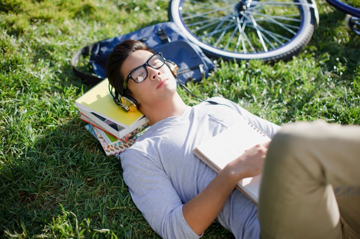 Synbiotic supplementation raises resting energy expenditure in overweight adults – Ezaki Glico study