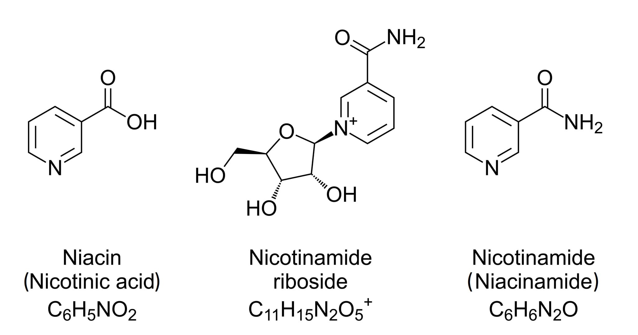 Forms of Vitamin B3. All three forms are converted within the body to NAD+.