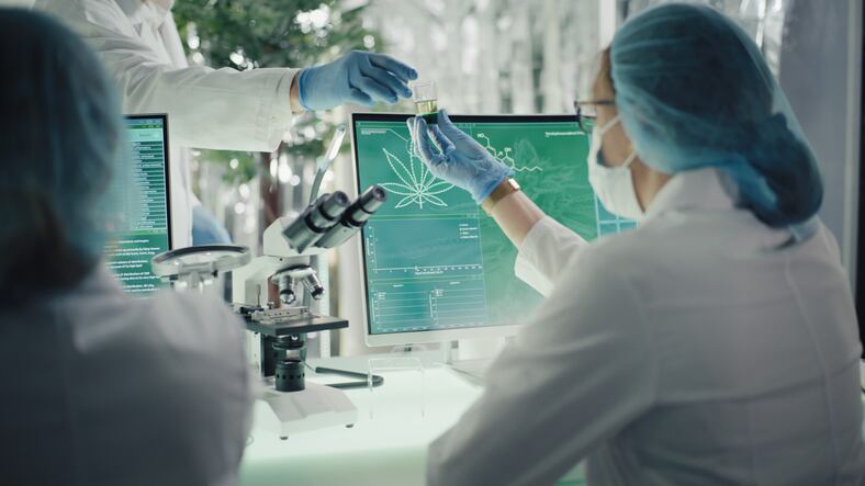 How TreeHouse Biosciences is helping brands with its patented THC remediation technology