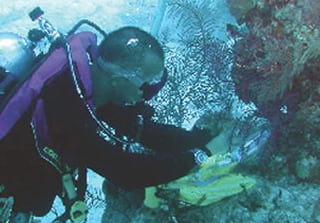 nautilus-diver.jpg
