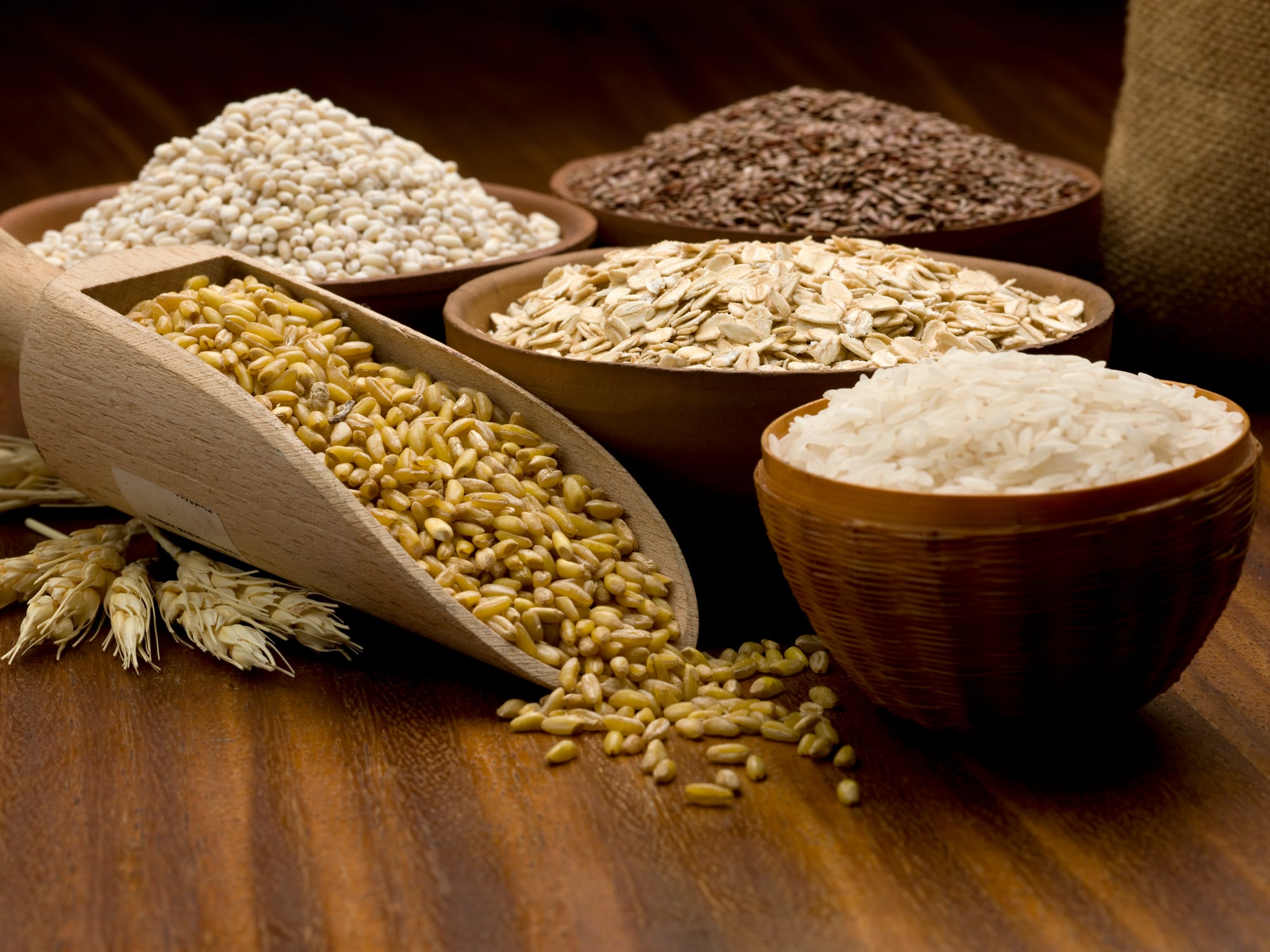 Danone & Brightseed expand A.I. partnership to explore plant-based health benefits