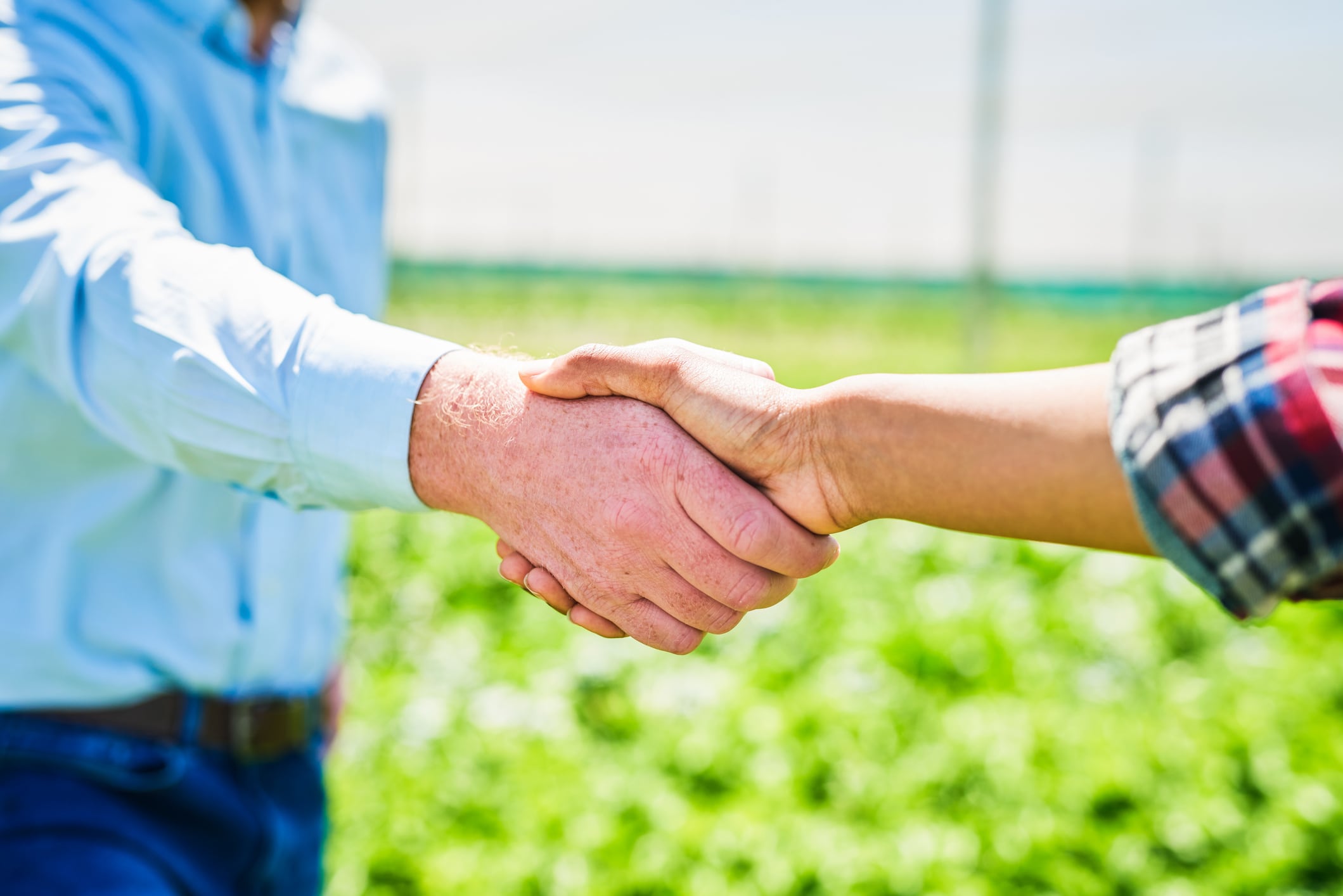 MartinBauer acquires wildcraft herb player American Botanicals