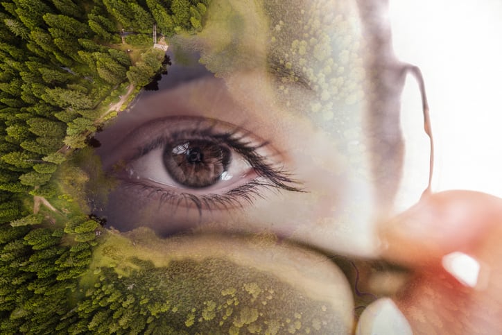 Women's eye surrounded by trees
