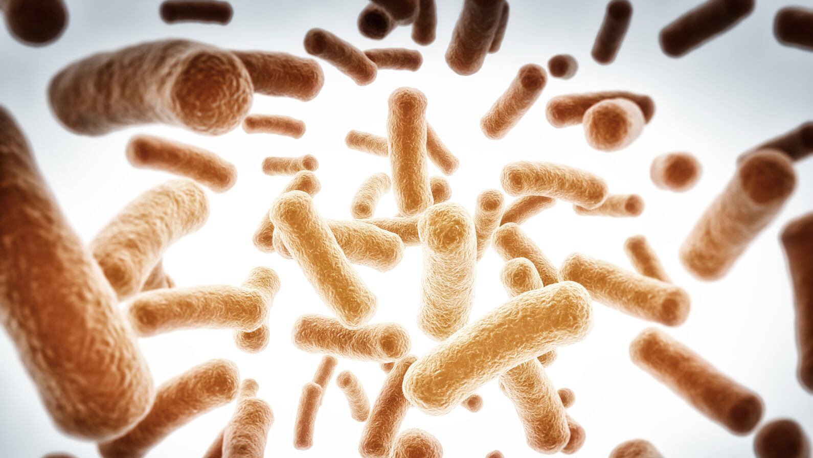 Synbiotics may have dose-dependent effect against IBS symptoms: South Korean RCT