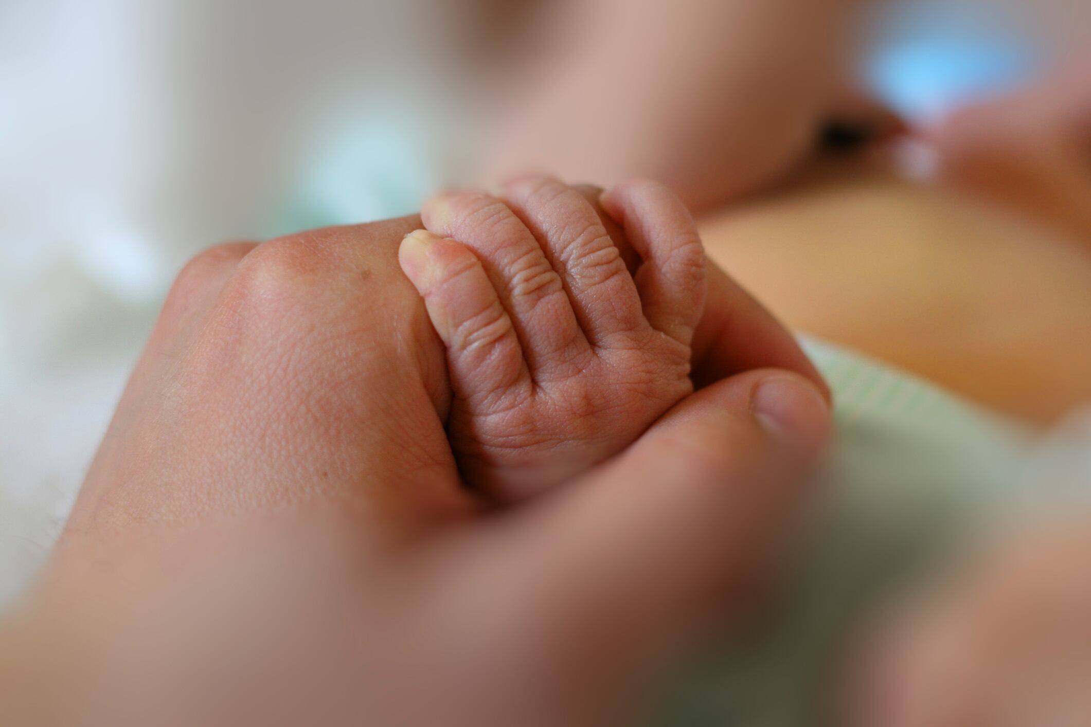 UAS Labs licenses impactful infant-safe L. plantarum probiotic strain