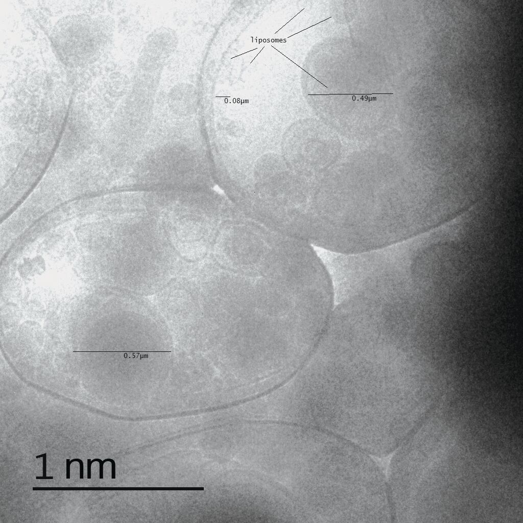 nanodetail.jpg