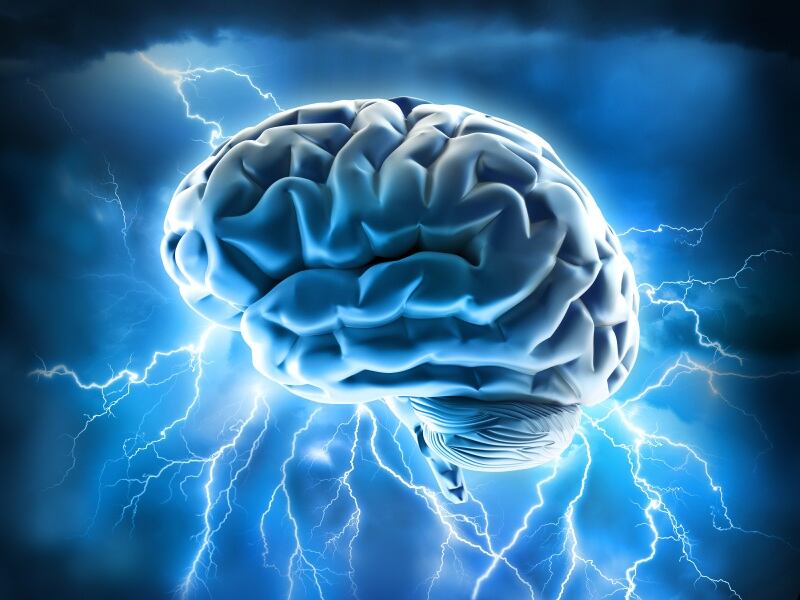 Brain-4x3.jpg