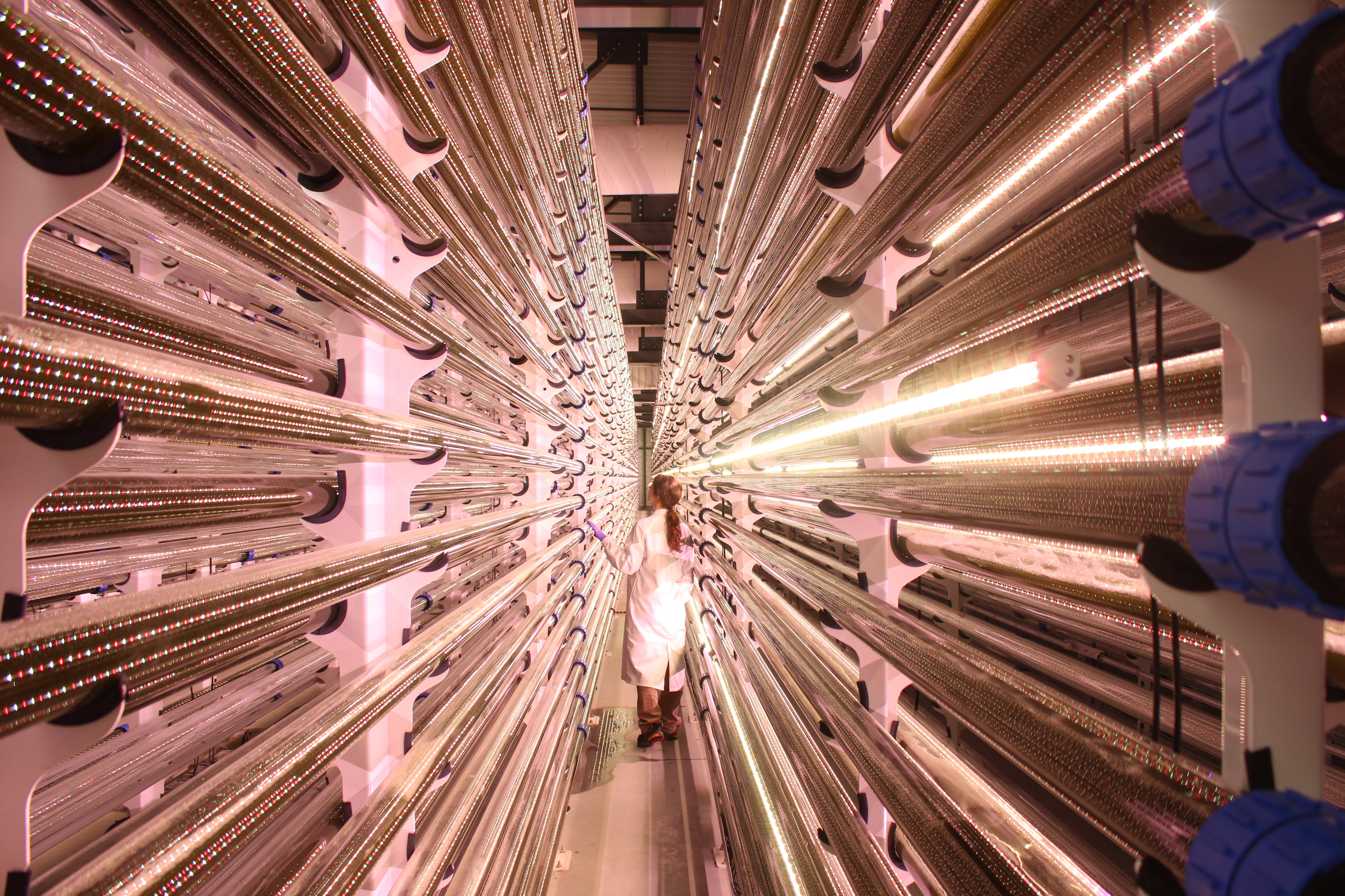 Behind the scenes at the world’s first industrial-scale microalgae biorefinery
