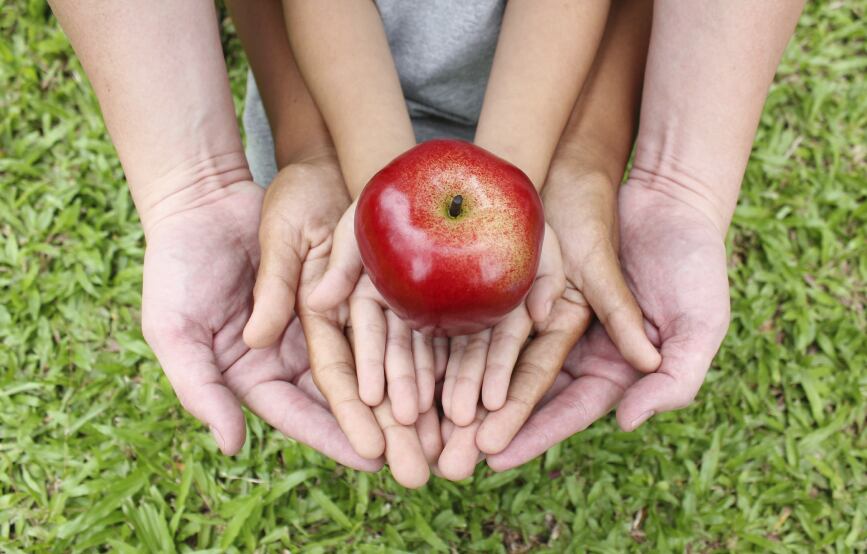Bill Gates: ‘Probiotics key to solving malnutrition’