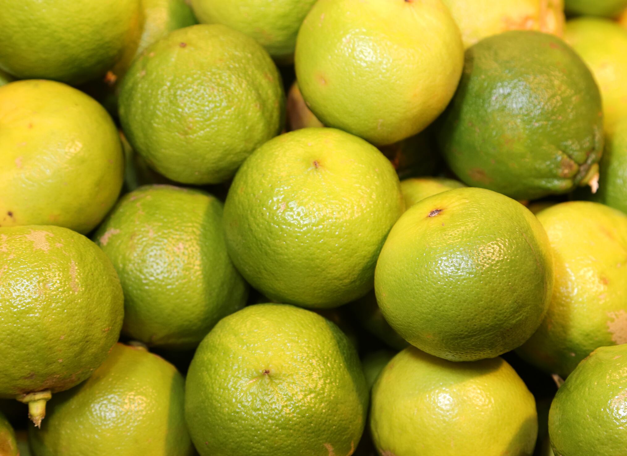 Bergamot citrus plus wild cardoon may help support liver health