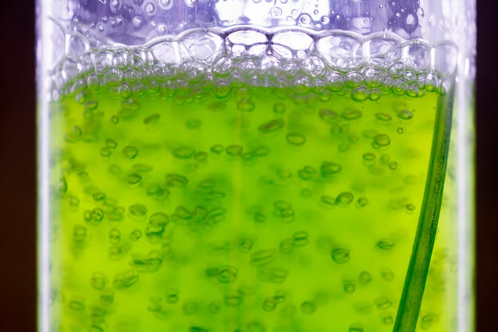 ADM expands presence in algal DHA space with launch of powder form