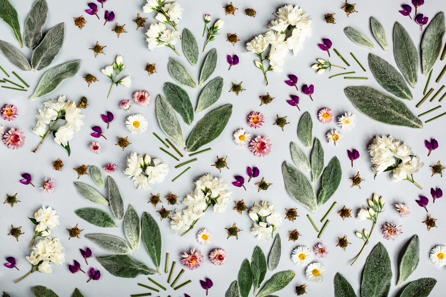 From-functional-to-ethical-identifying-the-health-halo-in-botanicals.jpg